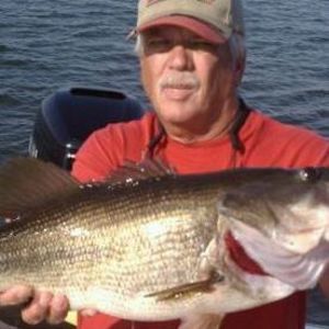 Meet your Posher, Gary